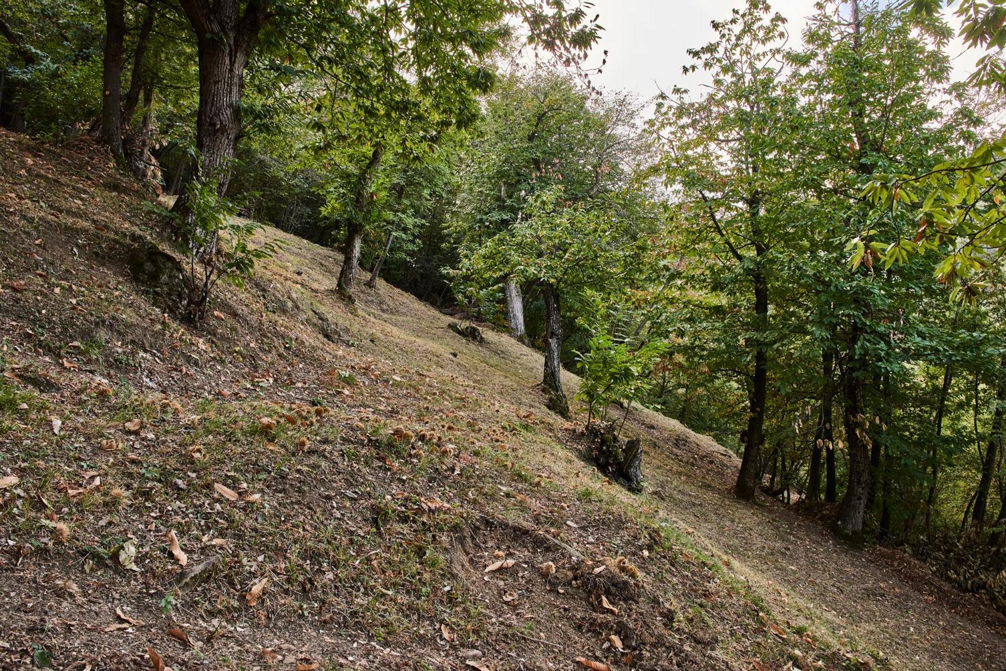 Agriturismo Prato Del Re Prignano sulla Secchia Экстерьер фото
